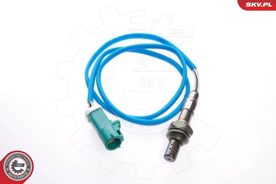 Oxygen Sensor